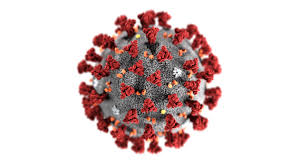 grey ball with red spikes depicting covid virus